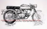 09-AERMACCHI_250ALA_VERDE_1970.jpg