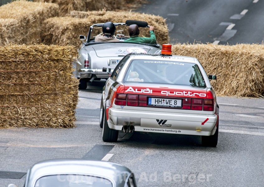 2014-hamburger-stadtpark-autos_21.jpg