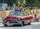 2014-hamburger-stadtpark-autos.jpg