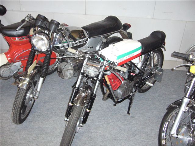 P1000103.JPG