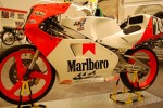Dateiname=JJ_Cobas-Rotax_125_28198929_v__Alex_Criville.JPG
Dateigröße=454KB
Abmessungen: 1024x681
hinzugefügt am: %14. %712 %2013 JJ_Cobas-Rotax_125_28198929_v__Alex_Criville.JPG