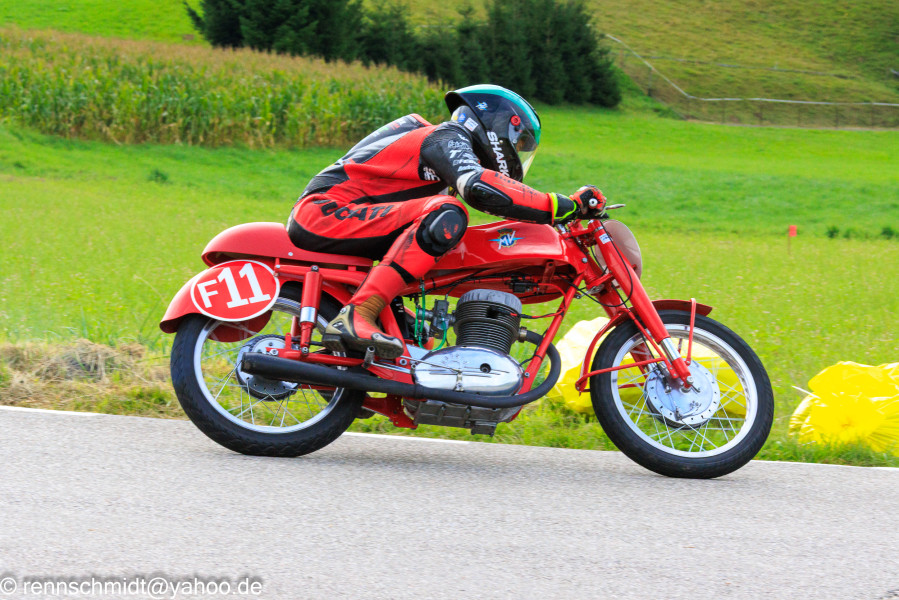 250830_Schwanenstadt__2824829.jpg