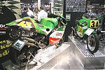 2008-Paton_51.JPG