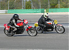 P1040303.jpg