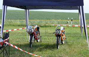 Wallduern12Wiese