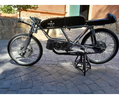 BIGGELAAR KREIDLER - 3