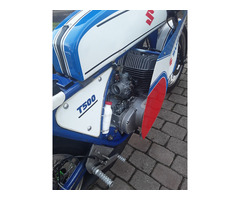 Suzuki t 500 Classic-racer - 6