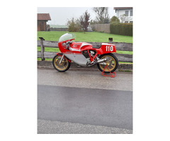 NCR  DUCATI  F1  Köwe  950 Racing - 2