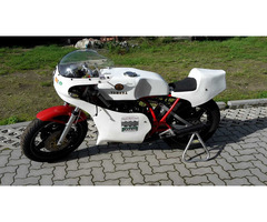 TZ350 G3G Rennmaschine - 6