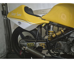 Armstrong 250 rotax GP