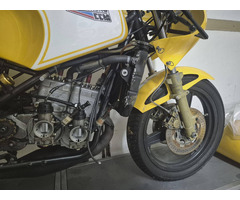 Armstrong 250 rotax GP - 2