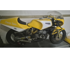 Armstrong 250 rotax GP - 3