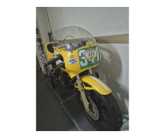 Armstrong 250 rotax GP - 4