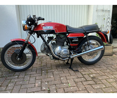 Ducati 750 GT, EZ 73