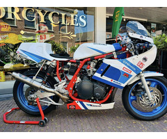 GSXR 1100 in Homemade steel frame & 18" PVM wheels