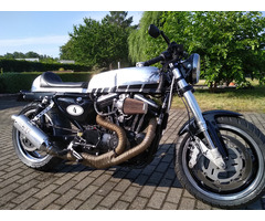 Harley Buellster