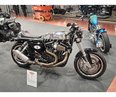 Harley Buellster - 5