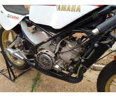 Yamaha tz250 - 3