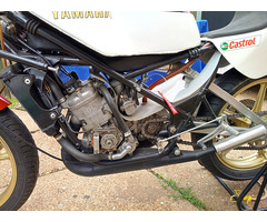 Yamaha tz250 - 5