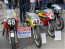IMG_3818.JPEG